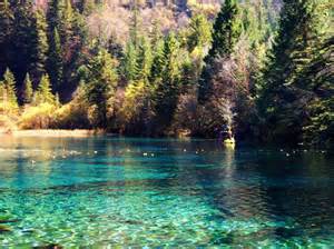 thCT1WSHM8 thCT1WSHM8