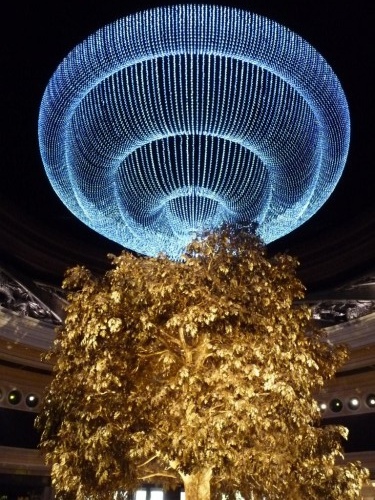 jyLbnbvh3nVgZ1SY0ztrlw.jpg jyLbnbvh3nVgZ1SY0ztrlw.jpg