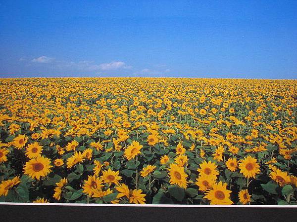 pB0r0mnkGzz5RjxLP_Ksrw.jpg pB0r0mnkGzz5RjxLP_Ksrw.jpg