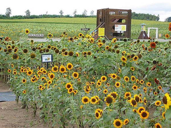 wb1t0Jbuu1gIlshFW3mb6g.jpg wb1t0Jbuu1gIlshFW3mb6g.jpg