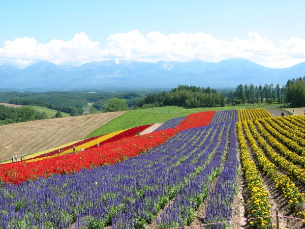 5879407271_c2d64c8833_b.jpg 5879407271_c2d64c8833_b.jpg