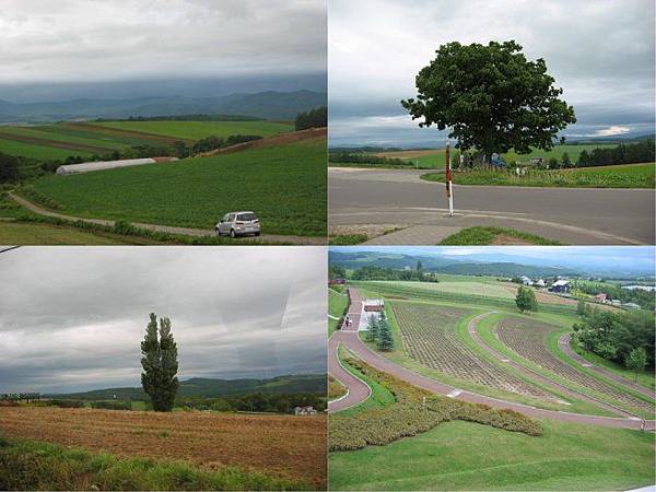 5879406275_7299cfd38d_b.jpg 5879406275_7299cfd38d_b.jpg