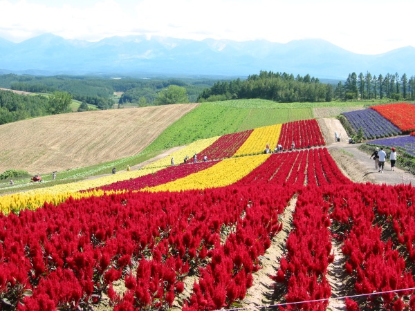 5879969886_1cc14c5b03_b.jpg 5879969886_1cc14c5b03_b.jpg