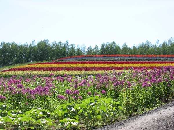 5879969960_b64569e311_b.jpg 5879969960_b64569e311_b.jpg