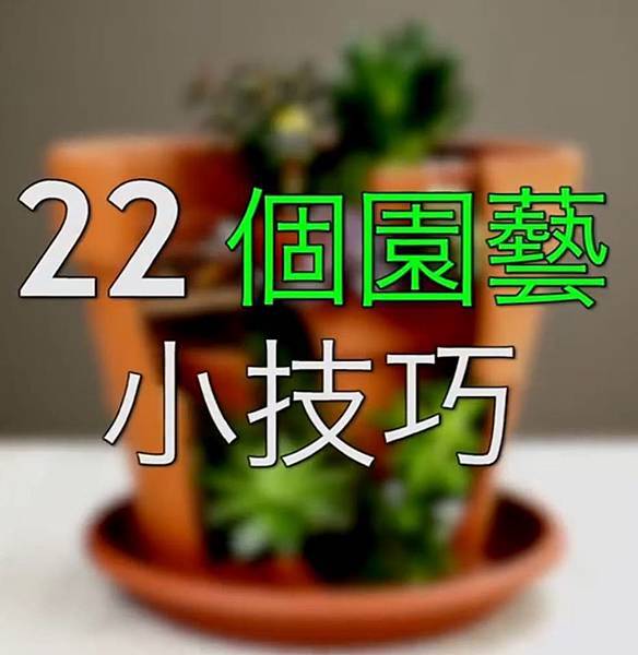 88161550_10217042011231631_8800198804784545792_o