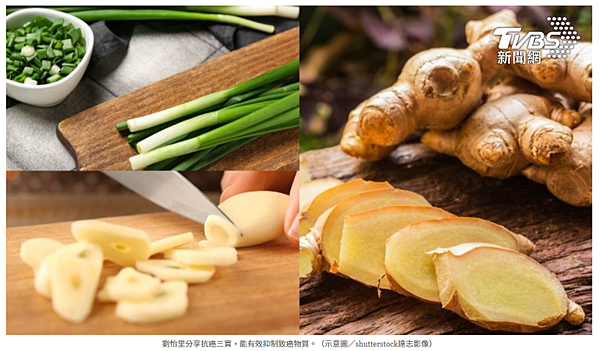 螢幕擷取畫面 2024-10-18 154714