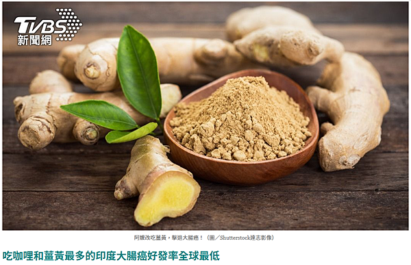 螢幕擷取畫面 2025-07-02 033510