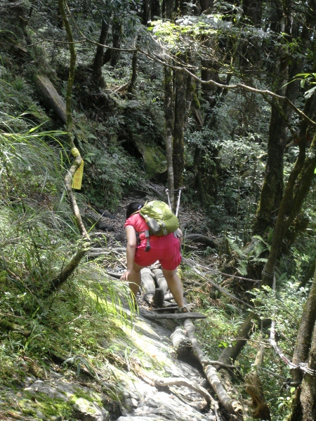 松羅湖登山步道(3).jpg