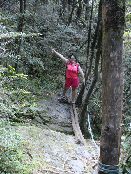 松羅湖登山步道(4).jpg