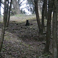 後慈湖景色(5)(像忠犬守護著後慈湖).JPG