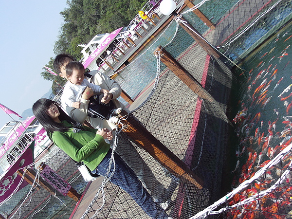 餵魚