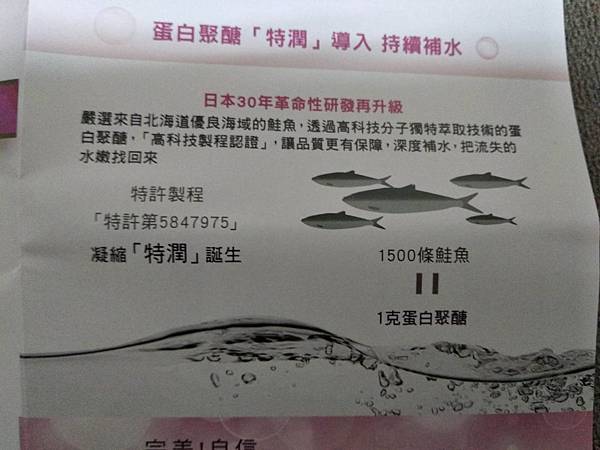 4.jpg 試用