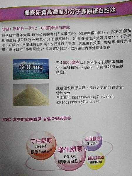 11.jpg 試用
