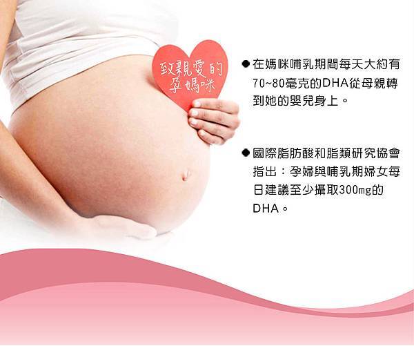 EDM03.jpg 試用
