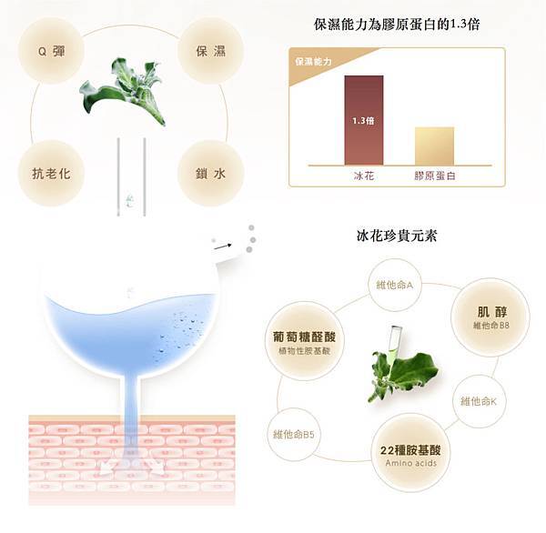 亮2.jpg 試用