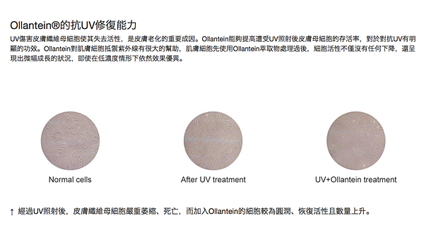螢幕快照 2017-02-21 上午8.00.42.png 螢幕快照 2017-02-21 上午8.00.42.png