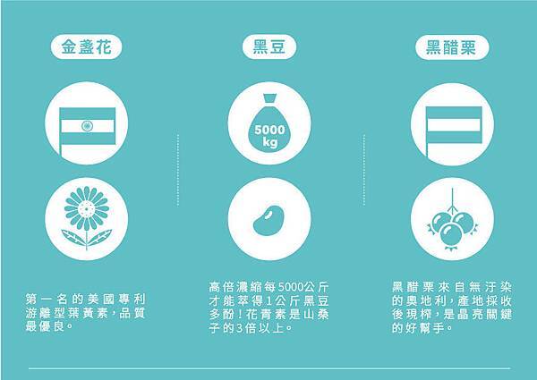 EDM03.jpg 試用