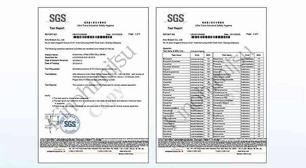 EDM08-3.jpg EDM08-3.jpg