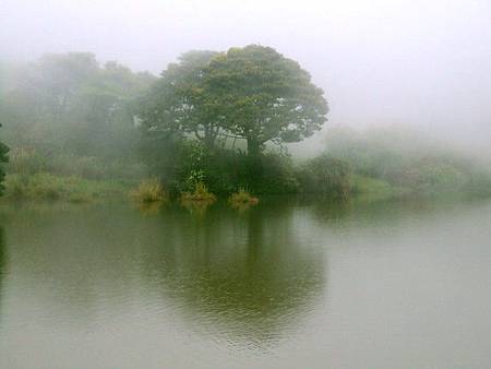 學校在窗外（一）閱讀菜公坑山