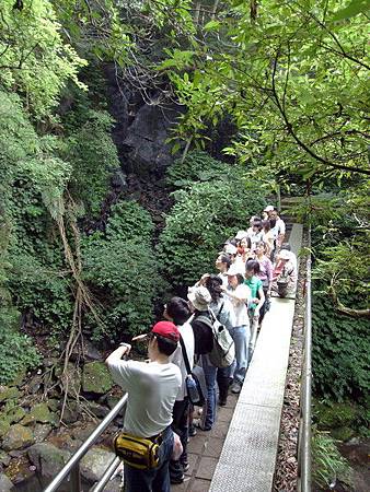 學校在窗外（三）閱讀林間流動的文學—《始知道》