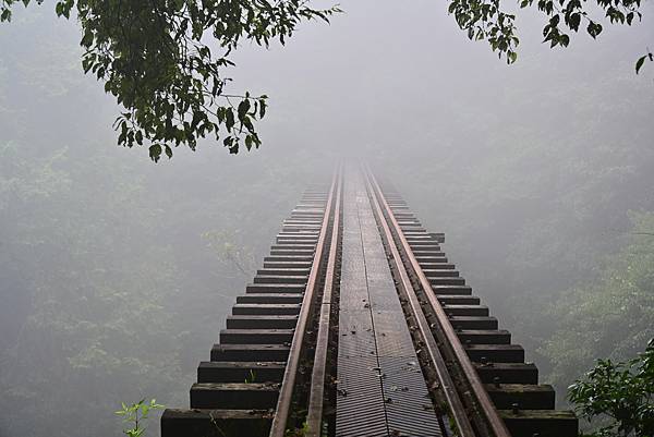 阿里山眠月鐵道懷舊之旅