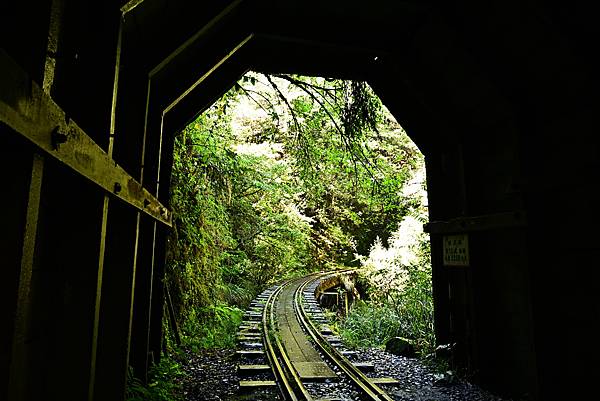 阿里山眠月鐵道懷舊之旅