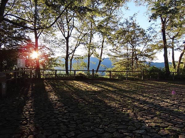 阿里山之旅（二）眠月後的星光與太陽