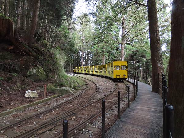 冬遊太平山（一）