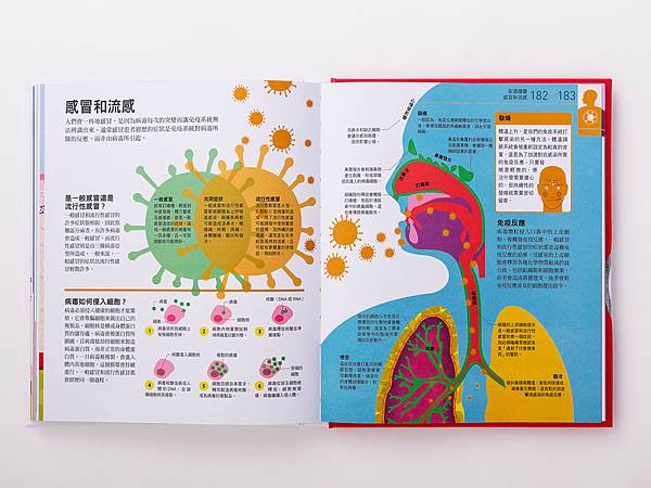 新品提報圖片-06-內文大.jpg 新品提報圖片-06-內文大.jpg