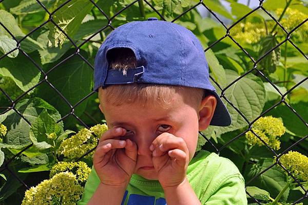 child-2411855_960_720.jpg child-2411855_960_720.jpg