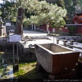 P1040075.JPG
