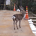 P1040155.JPG