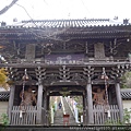 P1040158.JPG