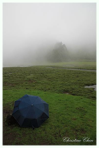 雨下得好