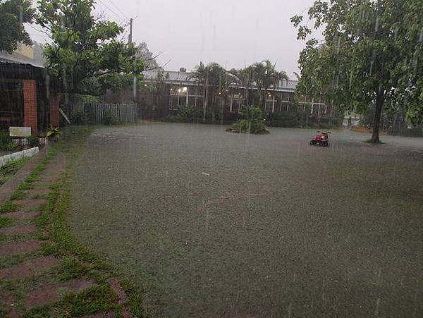 請看大雨如此滂沱