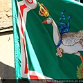 0805 還到處有這種綠色鴨鴨旗