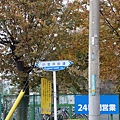 小金井街道