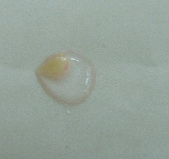 廖小姐3kg2