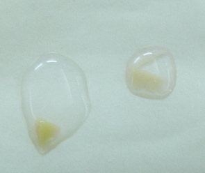 陳小姐第一次2kg1 陳小姐第一次2kg1