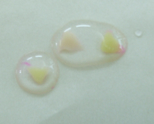 劉小姐5kg1 劉小姐5kg1