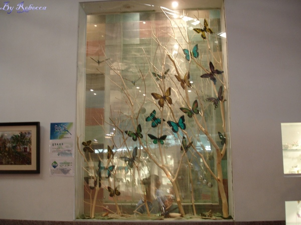 2008.10.25 玻璃博物館
