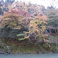 2008.11.25 京都--嵐山 (142).JPG