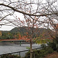 2008.11.27 京都--宇治-宇治川 (15).JPG