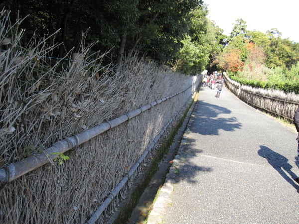 2008.11.25 京都--嵐山 (11).JPG