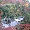 2008.11.26 京都--清水寺 (82).JPG