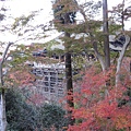 2008.11.26 京都--清水寺 (108).JPG