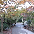 2008.11.26 京都--清水寺 (153).JPG