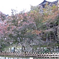 2008.11.26 京都--清水寺 (170).JPG