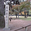 2007.11.27 奈良-- 興福寺 (5).JPG