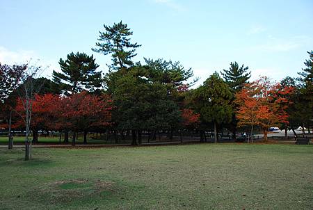 2013.11.08 (286).JPG